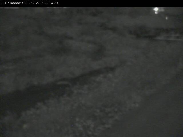 最新監視カメラ画像