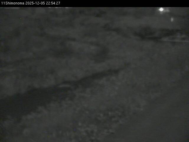 最新監視カメラ画像