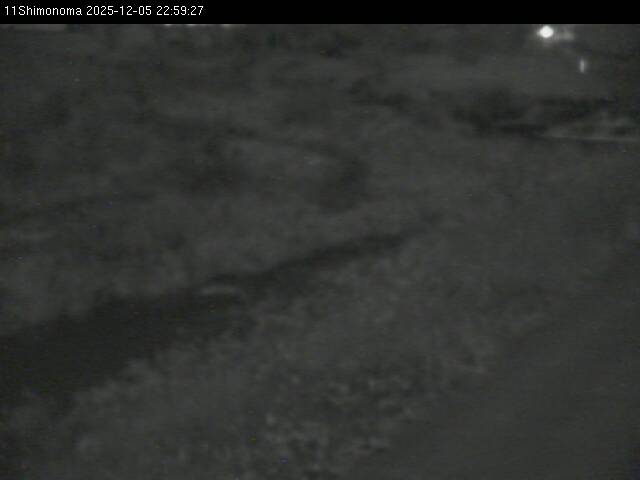 最新監視カメラ画像