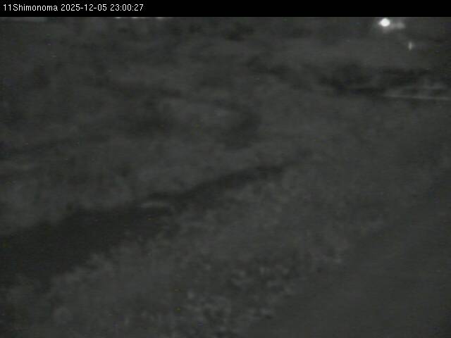 最新監視カメラ画像