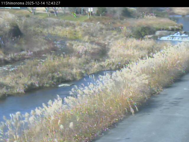 最新監視カメラ画像