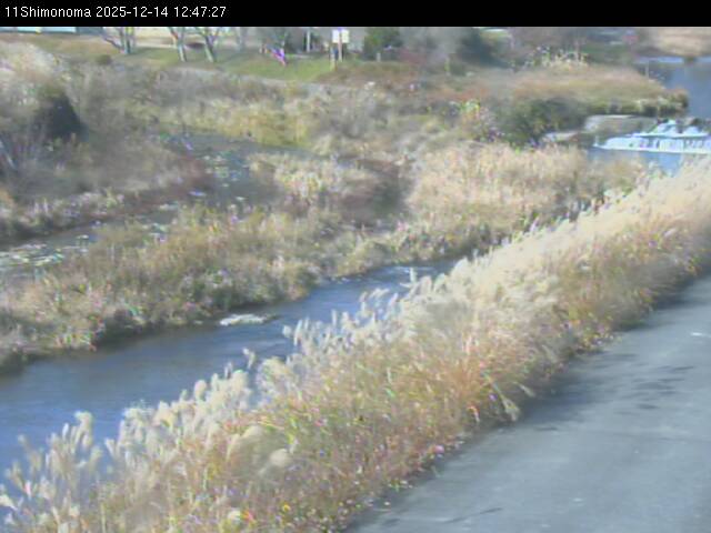 最新監視カメラ画像