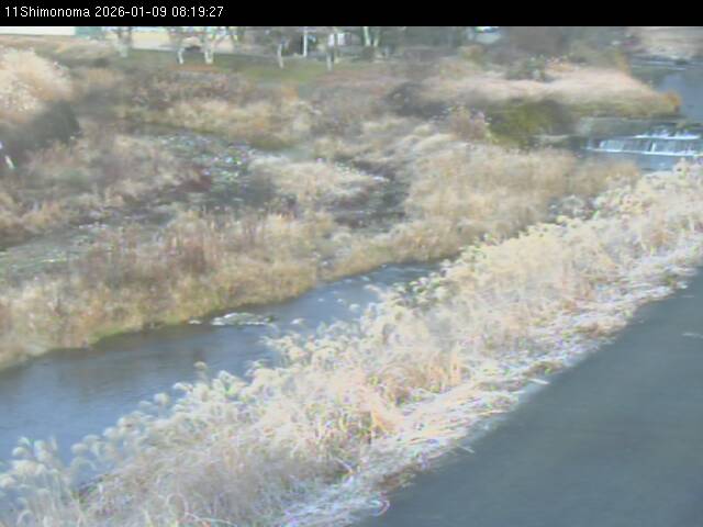 最新監視カメラ画像