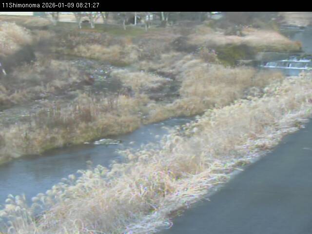 最新監視カメラ画像