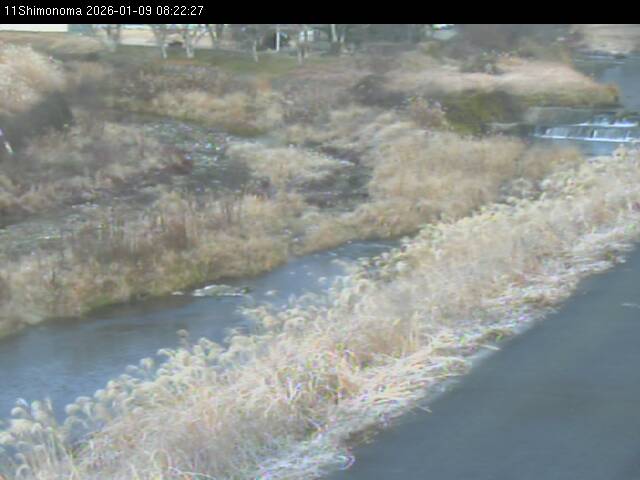 最新監視カメラ画像