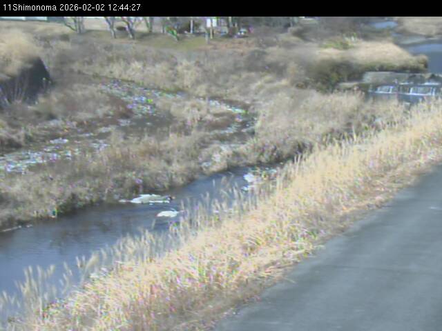 最新監視カメラ画像