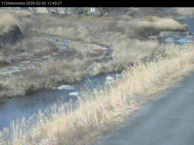 最新監視カメラ画像