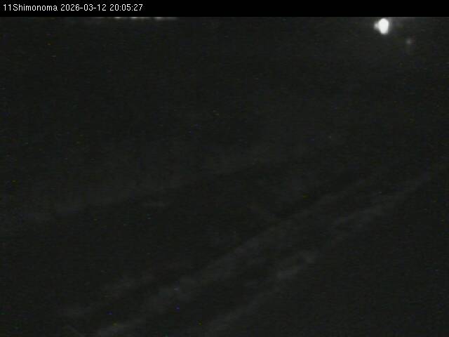 最新監視カメラ画像