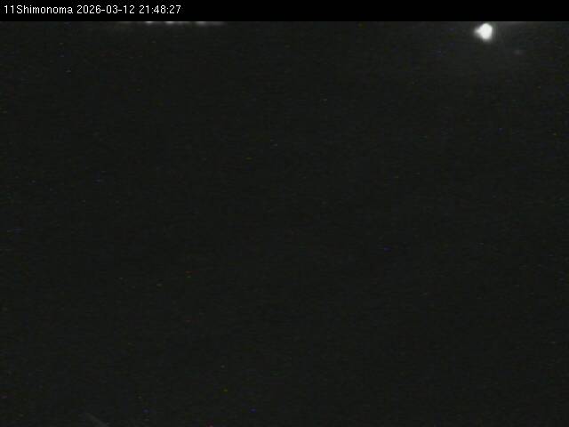 最新監視カメラ画像