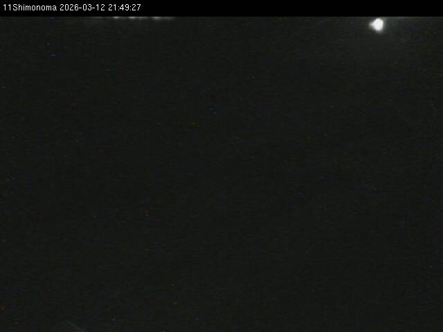 最新監視カメラ画像