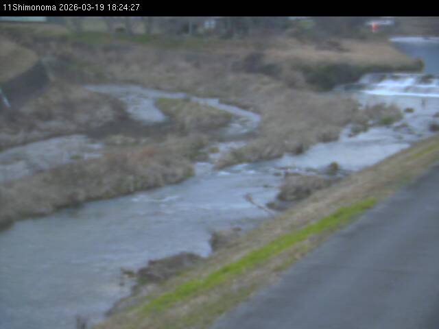 最新監視カメラ画像