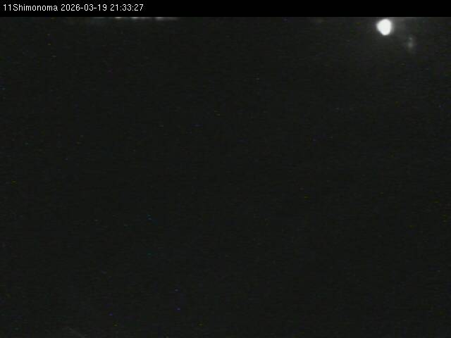 最新監視カメラ画像