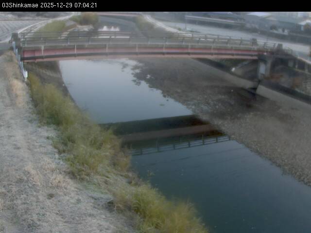 最新監視カメラ画像