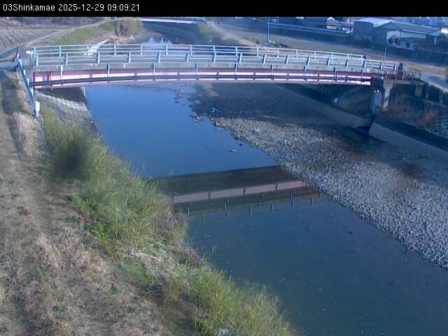 最新監視カメラ画像