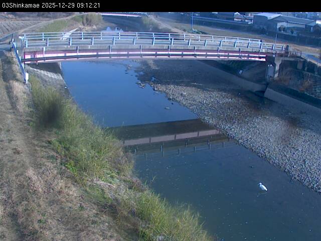 最新監視カメラ画像