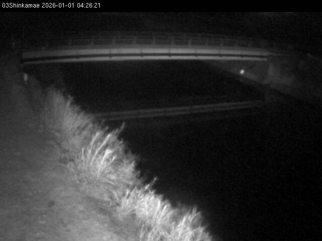 最新監視カメラ画像