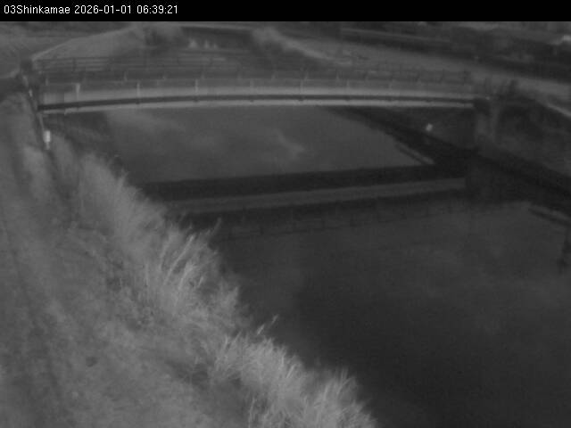 最新監視カメラ画像