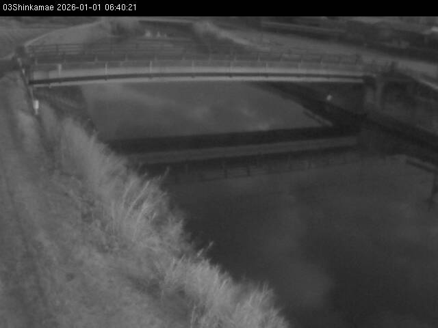 最新監視カメラ画像