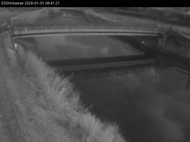 最新監視カメラ画像