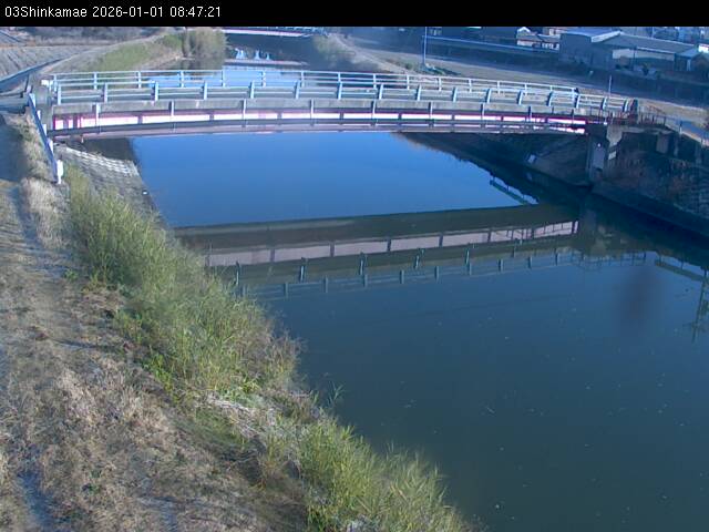 最新監視カメラ画像