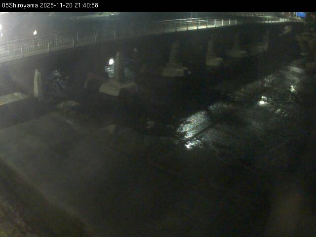 最新監視カメラ画像