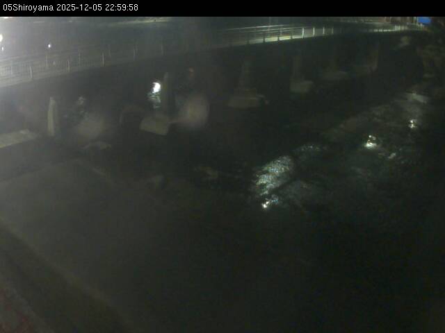 最新監視カメラ画像