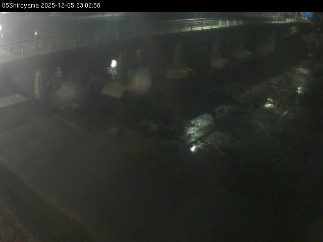 最新監視カメラ画像