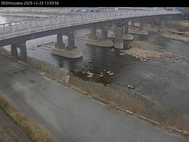 最新監視カメラ画像