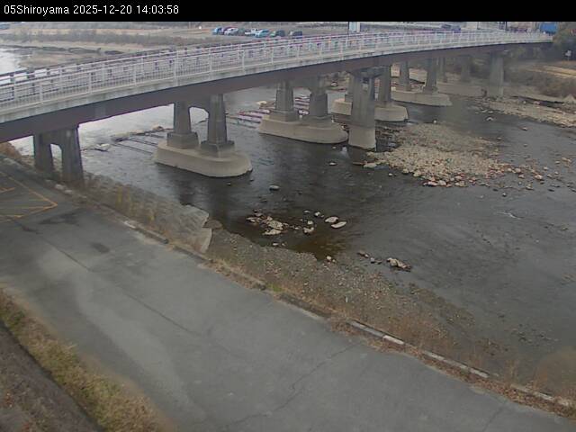 最新監視カメラ画像