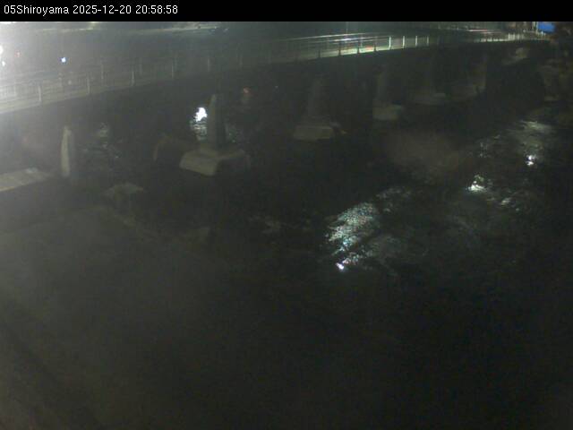 最新監視カメラ画像