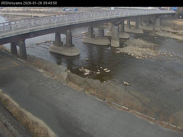 最新監視カメラ画像