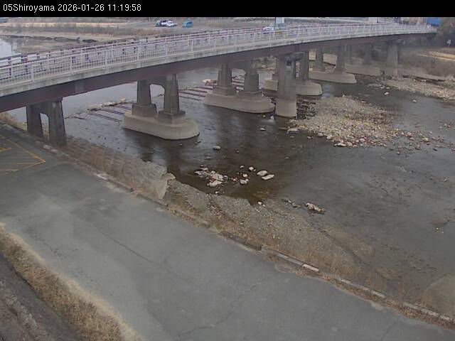 最新監視カメラ画像