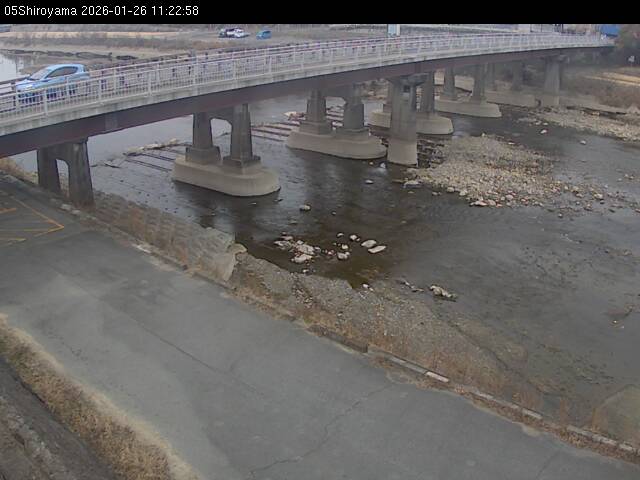 最新監視カメラ画像