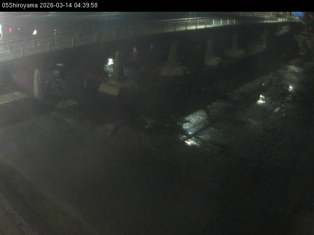 最新監視カメラ画像