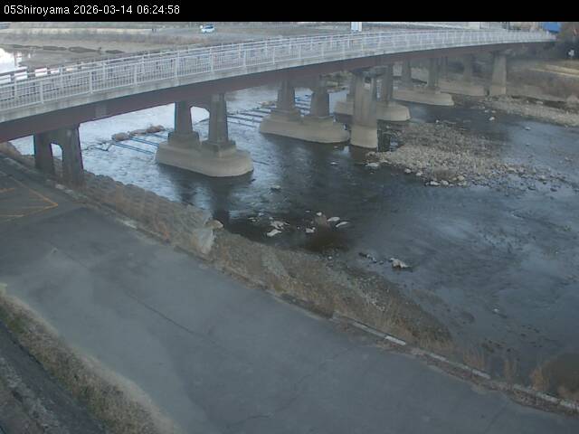 最新監視カメラ画像