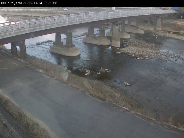 最新監視カメラ画像