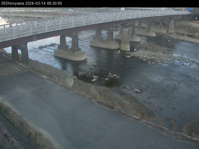 最新監視カメラ画像