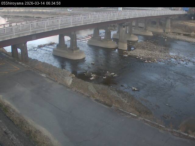 最新監視カメラ画像