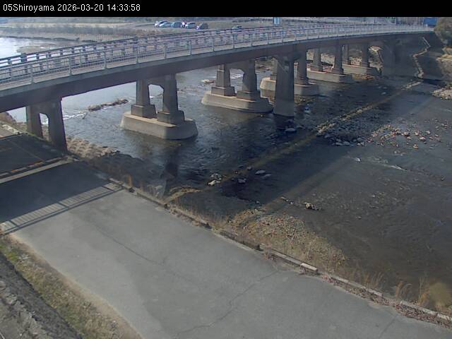 最新監視カメラ画像