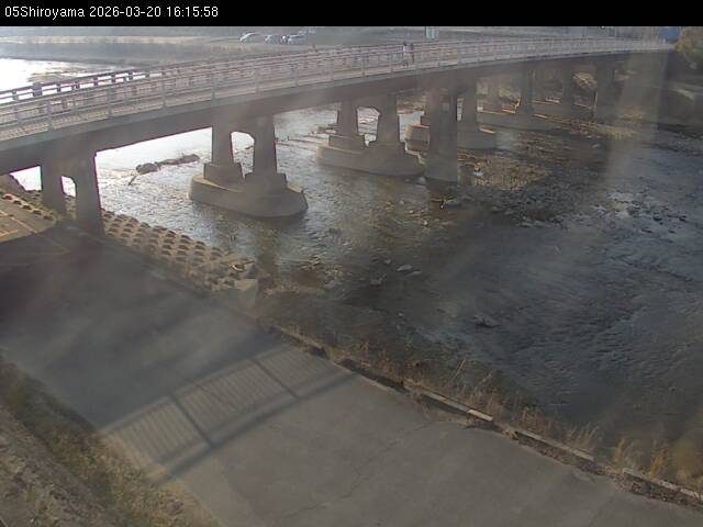 最新監視カメラ画像