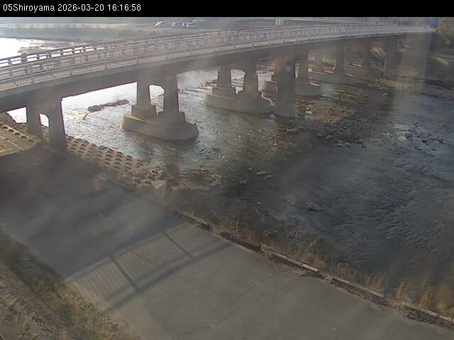 最新監視カメラ画像