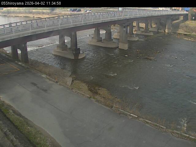 最新監視カメラ画像