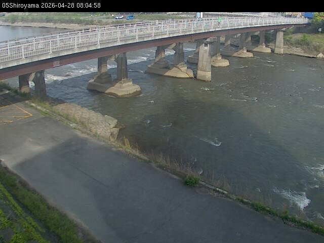 最新監視カメラ画像