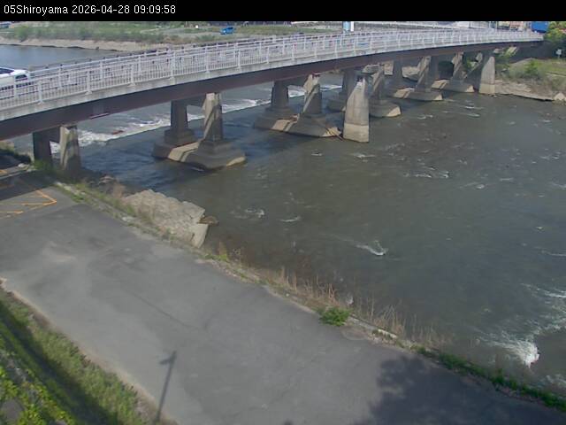 最新監視カメラ画像