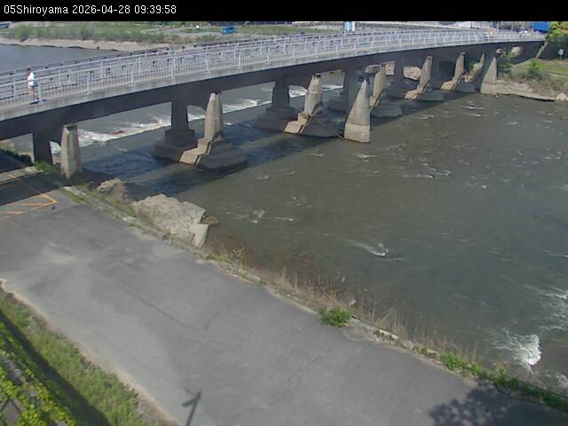 最新監視カメラ画像