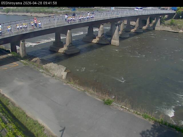 最新監視カメラ画像