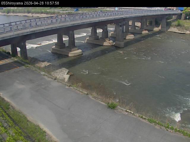 最新監視カメラ画像