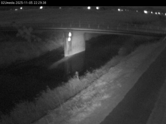 最新監視カメラ画像