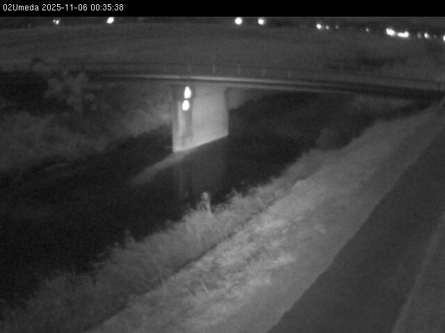 最新監視カメラ画像