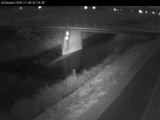 最新監視カメラ画像